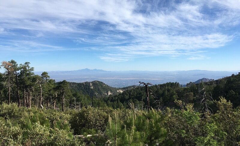 Top of Mount Lemon in Tucson Arizona.