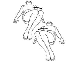 Lower trunk rotations