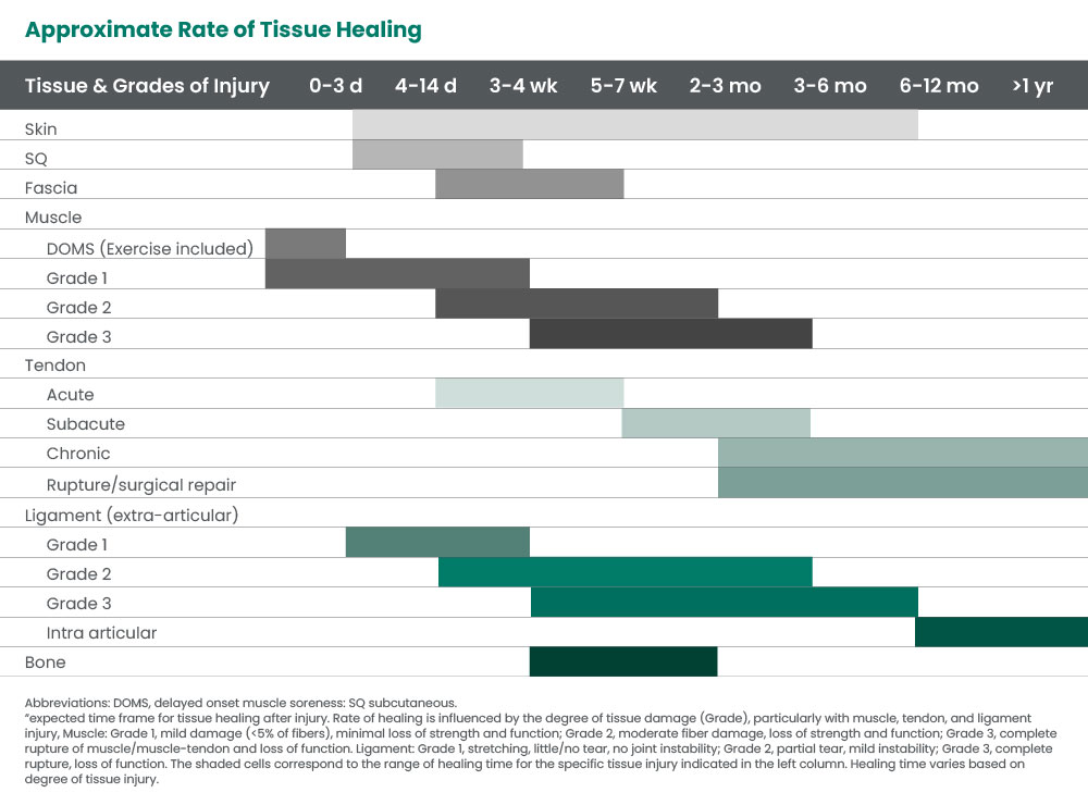 Chart of the tissue healing timeline