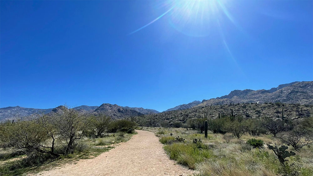 Romero Canyon Trail near Tucson