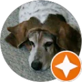 David Duane Avatar