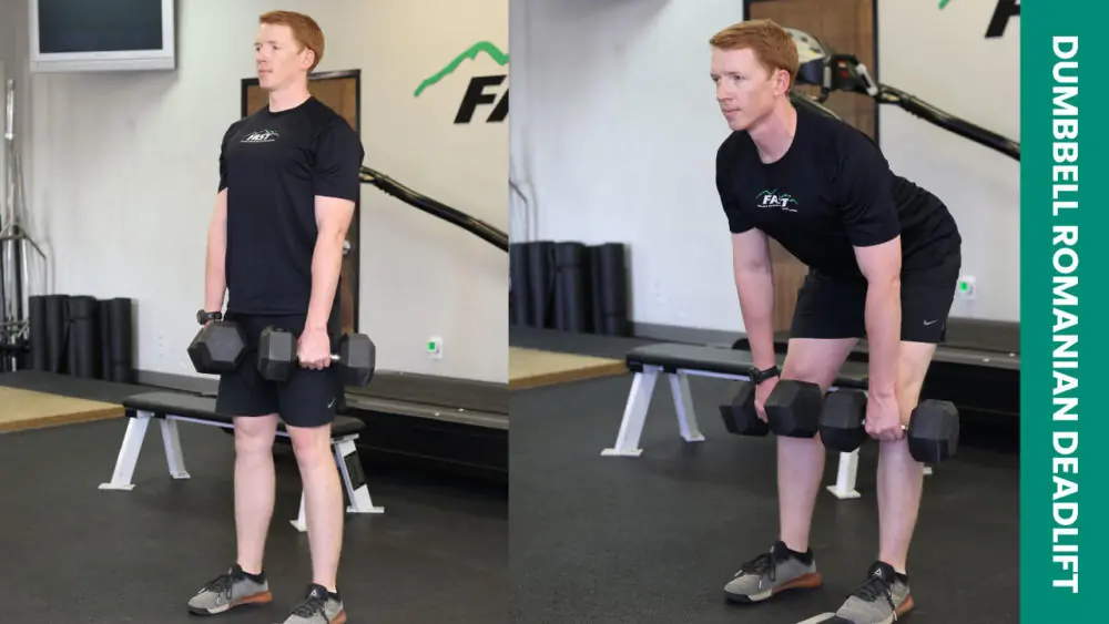 A man demonstrating dumbbell Romanian deadlifts