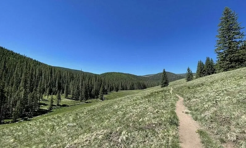 Photo of Mount Baldy trail in Eager Arizona.