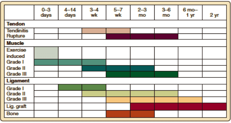 Chart describing lengths of time for injuries to heal.